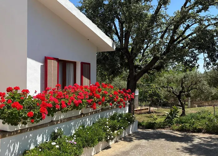 Finca Sa Cova De Mallorca